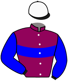 Casaque du n°6 — TENNESSEE STUD