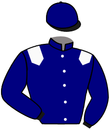 Casaque du n°9 — SYMBOL OF MAJESTY