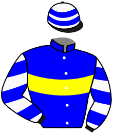 Casaque du n°14 — PIERRE ROYAL