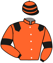 Casaque du n°10 — PETITE ABEILLE