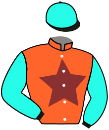 Casaque du n°5 — VALEVIEN