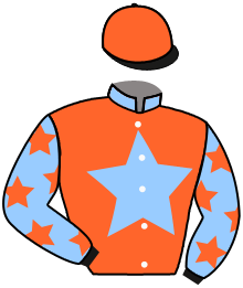 Casaque du n°13 — STEINKEVJCZUK