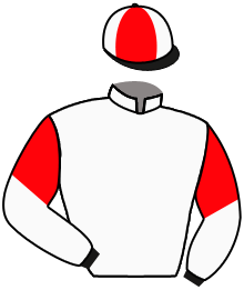 Casaque du n°6 — GUNNHILD