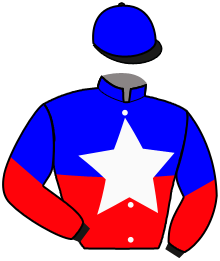 Casaque du n°6 — LORD DE LA FUTAIE