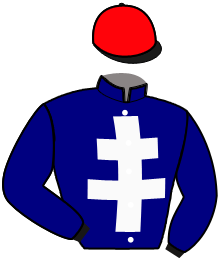Casaque du n°4 — MARIO DE LOU