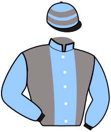 Casaque du n°9 — JUMBO D'AUVILLIER