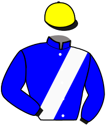 Casaque du n°11 — HAOUSSA DE VENNES