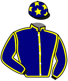 Casaque du n°4 — HEROS DE BEAUCAMP
