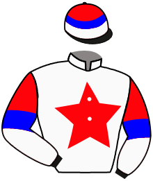 Casaque du n°10 — WINNING GOLD