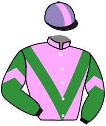 Casaque du n°2 — AEROVOLANIC