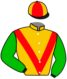 Casaque du n°7 — MEANINGFUL DRAGON
