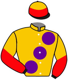 Casaque du n°8 — MONARCH COUNTY