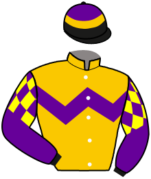 Casaque du n°1 — ETALON OR