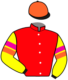Casaque du n°12 — INVINCIBLE STEED
