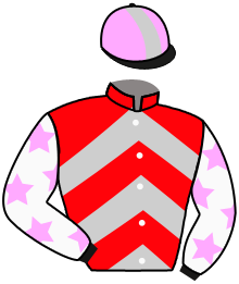 Casaque du n°14 — MASTER CHAMPION