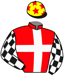 Casaque du n°2 — FAST RESPONDER