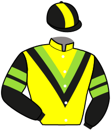 Casaque du n°3 — DRAGON AIR FORCE