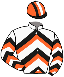 Casaque du n°4 — STRAIGHT TO GLORY