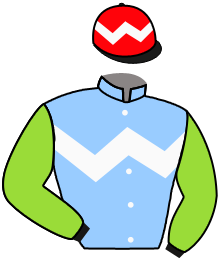 Casaque du n°5 — KYRUS DRAGON
