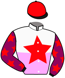 Casaque du n°9 — EVER LUCK