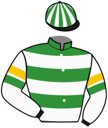 Casaque du n°11 — GULU GOGO