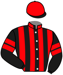 Casaque du n°13 — ANODE