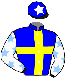 Casaque du n°2 — AURORA PATCH