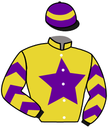 Casaque du n°6 — CELESTIAL HERO