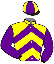Casaque du n°3 — DALMORA