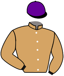 Casaque du n°1 — NICAR DEL AVIGNON