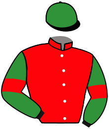 Casaque du n°5 — GLORY WOOD