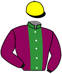 Casaque du n°9 — STORM STAR