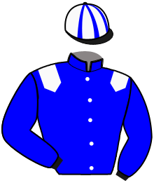 Casaque du n°7 — MAJOR D'HAVAROCHE