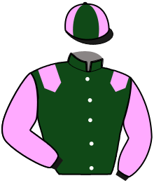 Casaque du n°6 — KILKENNY WARRIOR