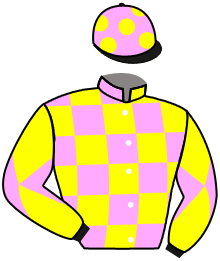 Casaque du n°3 — PINYA