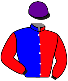 Casaque du n°14 — TERREMANA