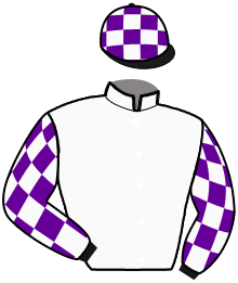 Casaque du n°12 — KYROC D'ERPION