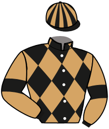 Casaque du n°1 — NEW SPRINGS