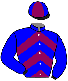 Casaque du n°13 — LUIGI SALICE