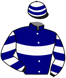 Casaque du n°4 — LE GRAND DE VIRY