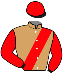 Casaque du n°12 — MILIK