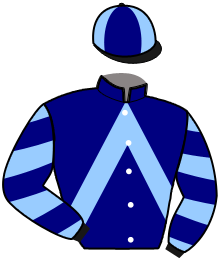 Casaque du n°14 — MICKEY AL