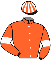 Casaque du n°8 — NYMPHE ROMAINE