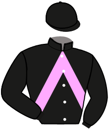 Casaque du n°2 — NIKITA WIT