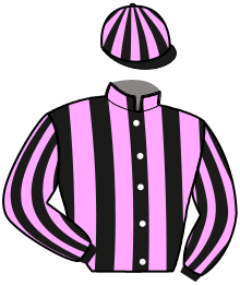 Casaque du n°8 — NOBLESSE DE BEYLEV