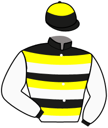 Casaque du n°3 — MIRIAM STRIPES