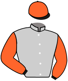 Casaque du n°11 — INTEGROUS