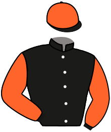 Casaque du n°12 — FALAYS