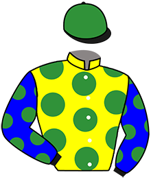 Casaque du n°8 — MARINELLO