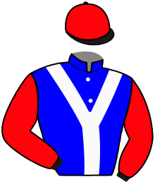 Casaque du n°3 — MORENA TEXANA